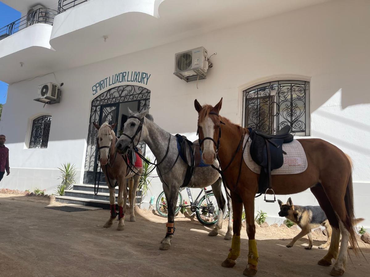 Apartament Spirit Luxor Luxury Zewnętrze zdjęcie